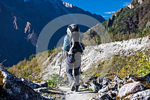 Trekker in lower Himalayas