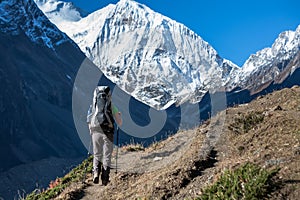 Trekker on Manaslu circuit trek in Nepal