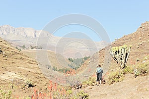 Trekker in Simien mountains near Chiro Leba village