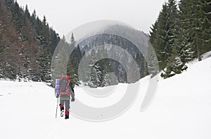 Trekker in snow
