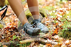 Trekker stumbling suffering sprain on ankle in a forest