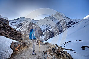 Trekker on the way to Annapurna base camp, Nepal