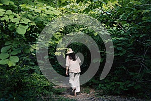 A trekker woman traveling in the tropical forest on the mountains of Thailand.