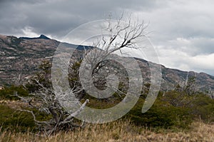 Trekking across Estancia Cristiana photo