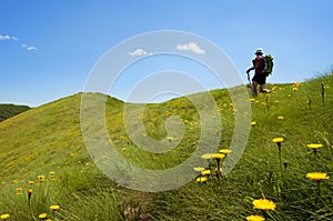 Trekking in the Alps
