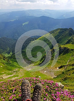 Trekking in blossoming mountains