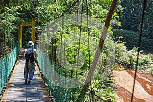 Trekking in Borneo rainforest