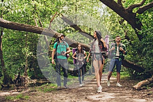 Trekking, camping and wild life concept. Two couples of friends are walking in the sunny spring woods, talking and laughing, all a