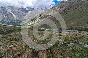 Trekking in Chitkul - Landscape of Sangla Valley, Himachal Pradesh, India / Kinnaur Valley