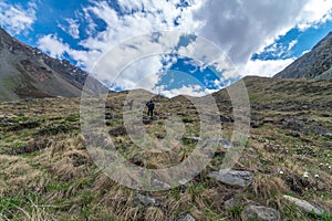 Trekking in Chitkul - Landscape of Sangla Valley, Himachal Pradesh, India / Kinnaur Valley