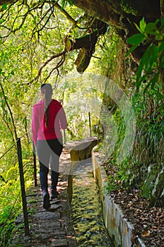 Trekking on Levada da Portela, Madeira, Portugal photo