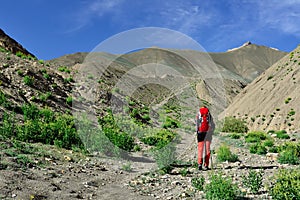 Trekking in the Markha valley in Karakorum mountains near Leh town