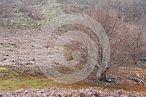 Trekking in Mehedinti Mountains in autumn