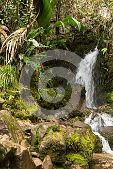 Trekking Mount Roraima photo