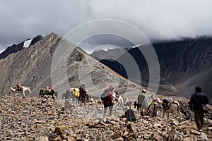 Trekking in the Nepal Himalaya