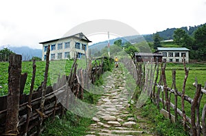 Trekking in Nepal Himalayas. Stone paved walkway throu Ringmu village