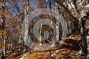 Trekking Parco Nazionale D'Abruzzo