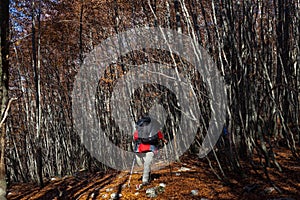 Trekking Parco Nazionale D'Abruzzo photo