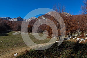 Trekking Parco Nazionale D'Abruzzo photo