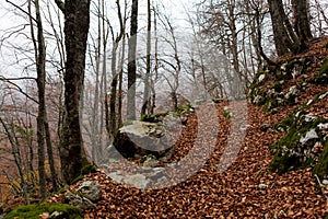 Trekking Parco Nazionale D'Abruzzo photo