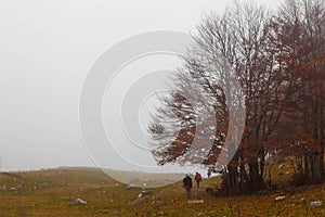 Trekking Parco Nazionale D'Abruzzo photo