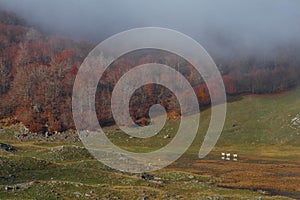 Trekking Parco Nazionale D'Abruzzo photo