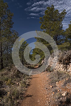 Trekking path in Puig Campana photo