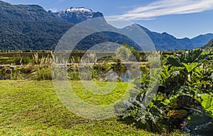 Trekking through Peulla, Chile, Andean Crossing