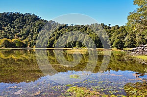 Trekking in Reserva El Cani, near Pucon, Chile photo