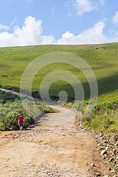 Trekking on the Road