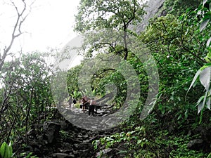 Trekking Route of Naneghat Mountains