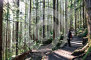 Trekking at Seattle Washington Rattlesnake Ledge Trail