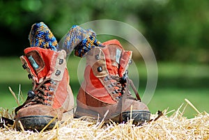 Trekking shoes