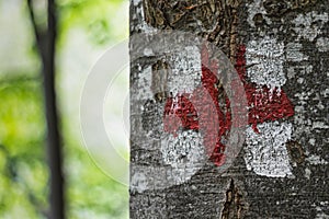 Trekking sign on tree