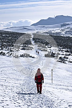 Trekking in snow