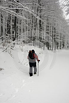 Trekking in the snow