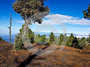 Trekking trail of Acatenango volcano ,Guatemala