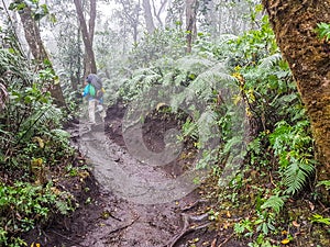 Trekking trail of Acatenango volcano ,Guatemala