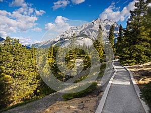 Trekking Trail in Rocky Mountains