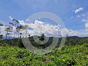 Trekking up to the mountainous in Tambunan, Sabah.