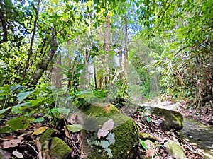 Trekking up to the mountainous in Tambunan, Sabah.