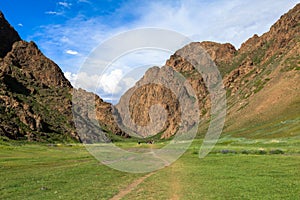 Trekking in Valley of flowers Mongolia