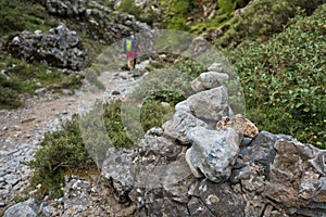 Trekking on a winding path through Imbros gorge near Chora Sfakion, island of Crete photo