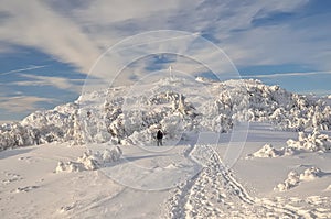 Trekking in winter mountains