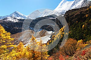 Trekking at Yading Nature Reserve in Daocheng County ,China