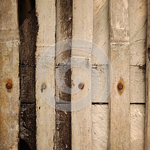 Trellis from bamboo slats