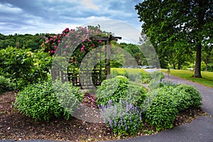 Trellis Blooming Pink Roses Romantic Garden