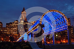 A trellis is decorated for the Christmas season