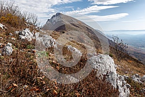Trem, highest peak of Dry mountain in Serbia photo