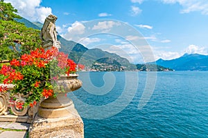 Tremezzo viewed behind flowers, Italy